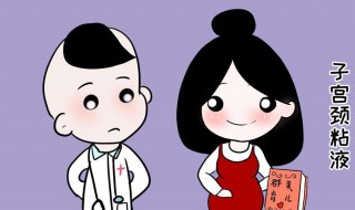 宫颈下唇在哪 宫颈下唇的位置