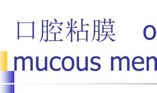 口腔黏膜炎的早期症状 什么是口腔炎的症状呢?