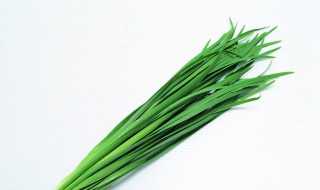 韭菜的禁忌 韭菜的功效