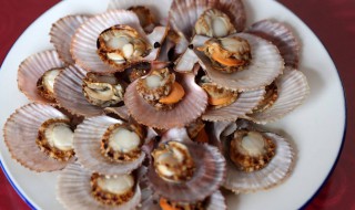 清蒸扇贝蘸料怎么调 扇贝的蘸料怎么做？