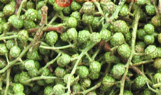 麻椒藤椒区别 麻椒藤椒有啥区别