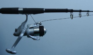 钓鱼竿入门 怎么挑选钓鱼竿