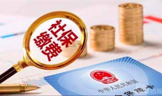 社保不交了可以退多少钱 一起了解一下