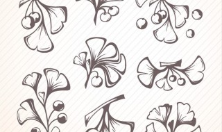 银杏叶手绘画法 画法很简单哦