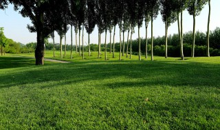 廊坊限什么号 周末限号吗