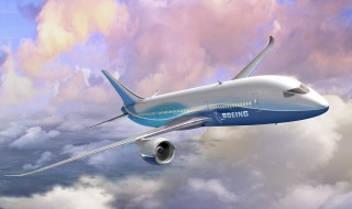 飞机垃圾怎么处理 飞机厕所怎么垃圾怎么处理