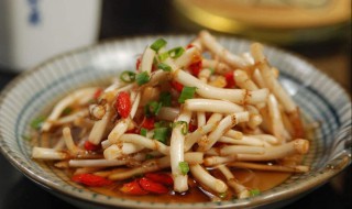 喝鱼腥草水的禁忌症 鱼腥草什么人不能吃