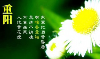 九九重阳七律诗 九九重阳群友聚七律诗