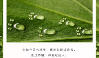 30岁必读的十本书 30岁之前必读的10本书