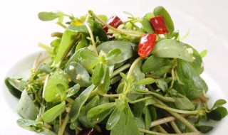 降血糖的三大菜 降血糖的菜有这几种