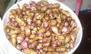 鲜洋姜怎么炒着好吃 试试用辣椒同炒咸香下饭