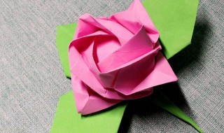 折纸玫瑰花教程 折纸玫瑰花的步骤详解