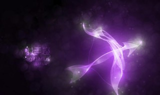 射手女嫁最多的星座男 射手女嫁什么星座最多