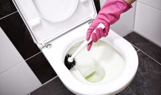 马桶拐弯除厚垢的方法 这样做才有效