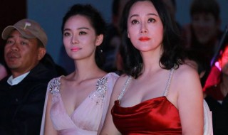 大宋佳儿子父亲是谁 大宋佳的儿子是跟谁生的