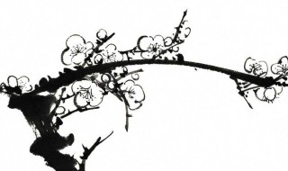 梅树的画法 初学国画这样下手
