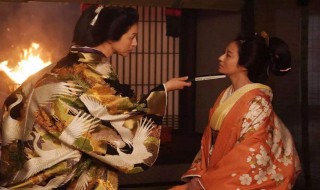 大奥简介 电视剧大奥的介绍