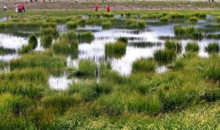 松潘草地简介 松潘草地的介绍