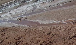 盐碱水为什么不能洗澡 长期饮用盐碱水的危害