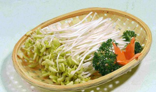 如何在家发绿豆芽 三步到位