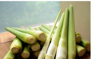 笋的种植方法 如何种植笋