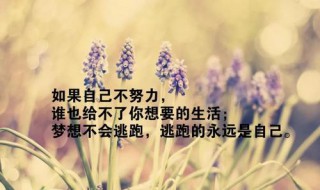正能量的句子经典语句 7个正能量的句子经典语句