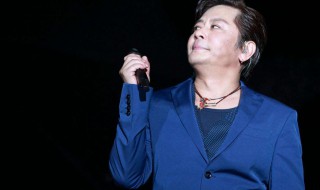 王杰和谢霆锋是同父异母的吗 王杰是谁