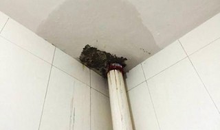 房间开关穿线管漏水什么原因 具体原因如下