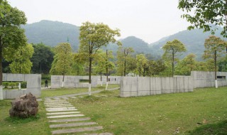 歌乐山森林介绍 歌乐山森林的简介