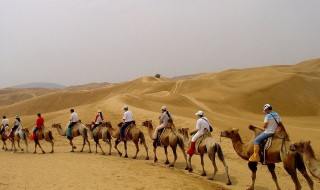 天边的骆驼原唱 天边的骆驼原唱简介