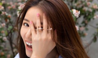 林心如简历祖籍 林心如个人资料