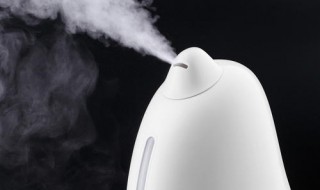 加湿器里可以加什么 我们一起来了解吧