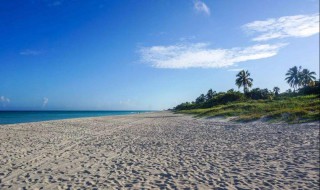 海滨小城是什么结构的课文 有什么特点