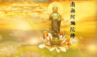 念佛机在家念什么最好 念南无阿弥陀佛