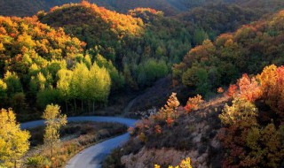 为什么叫葱岭 西汉时的丝绸之路