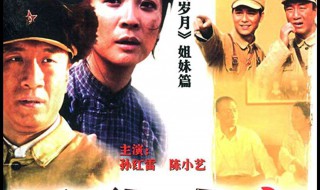 孙红雷演的高大山是什么电视剧 电视剧简介