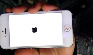 苹果手机充不进去电是怎么回事 苹果手机充不进去电的原因