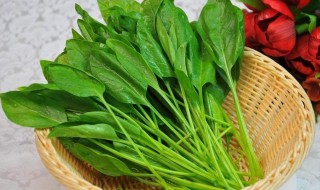 尿酸高不能吃的三种蔬菜 千万要避开这些食物