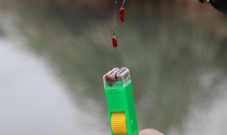 红虫拉饵怎么调漂 红虫拉饵调漂的方法