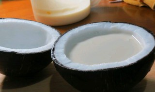 椰奶怎么做 做法超简单