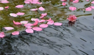 花自飘零水自流的意思 花自飘零水自流的解释