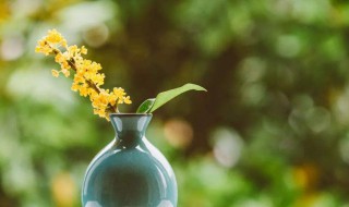 简短文艺小清新的句子 简短文艺小清新的句子有哪些