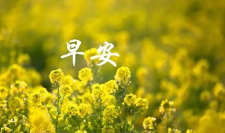 新一周正能量早安心语 新的一周正能量早安心语