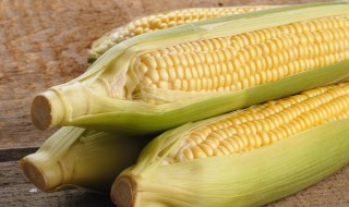 新鲜生玉米怎么保存 新鲜生玉米如何保存