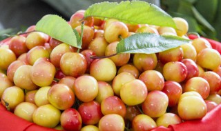 梦见好多水果是什么意思 梦见好多水果的寓意