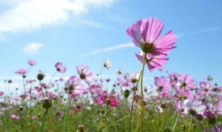 周末美好时光发朋友圈 周末美好时光的句子