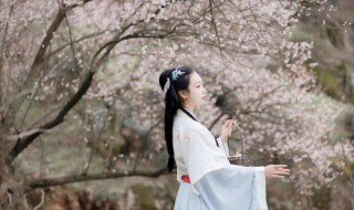 风轻云淡的优美句子 关于描写风轻云淡的优美句子