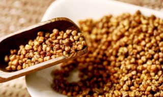 苦荞的功效和作用及食用方法 苦荞的功效和作用及食用方法是什么