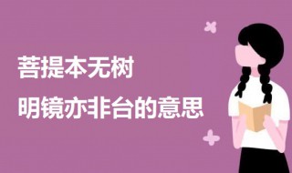 菩提本无树明镜亦非台的意思 菩提偈原文及翻译