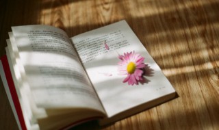 王安石纵被春风吹作雪绝胜南陌碾成尘咏的是哪一种花 出自哪首诗